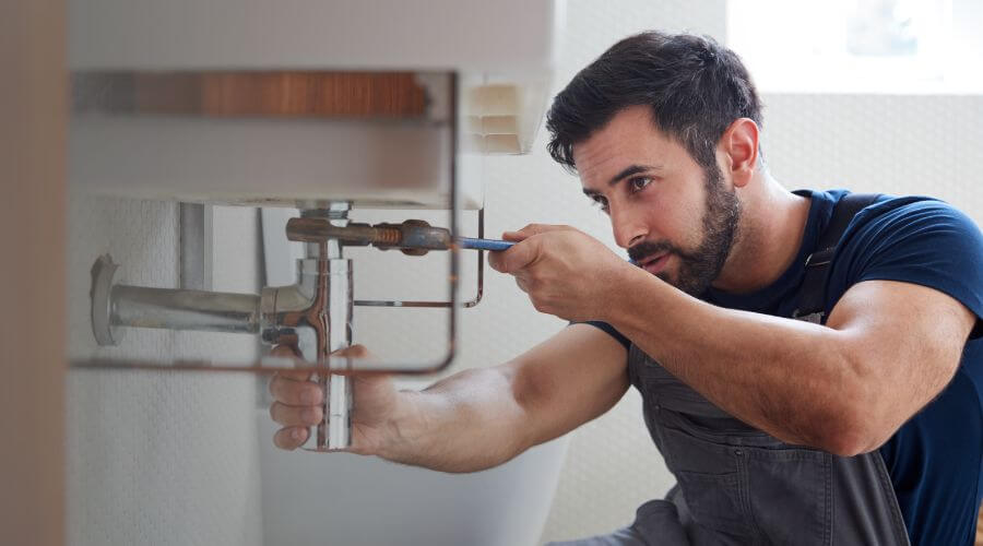 Trap Repair/Replacement in Woodson, IL